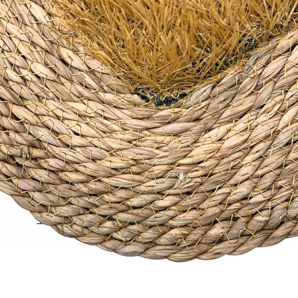 سجادة باب جوت