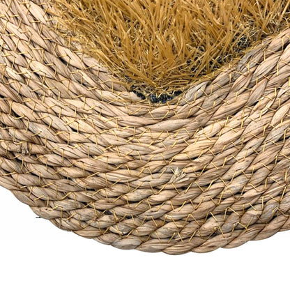 سجادة باب جوت