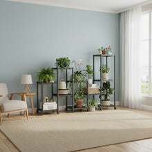 رف نباتات داخلي مع عجلات