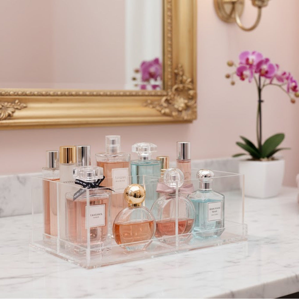 منظم قابل للفصل