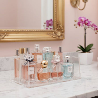 منظم قابل للفصل