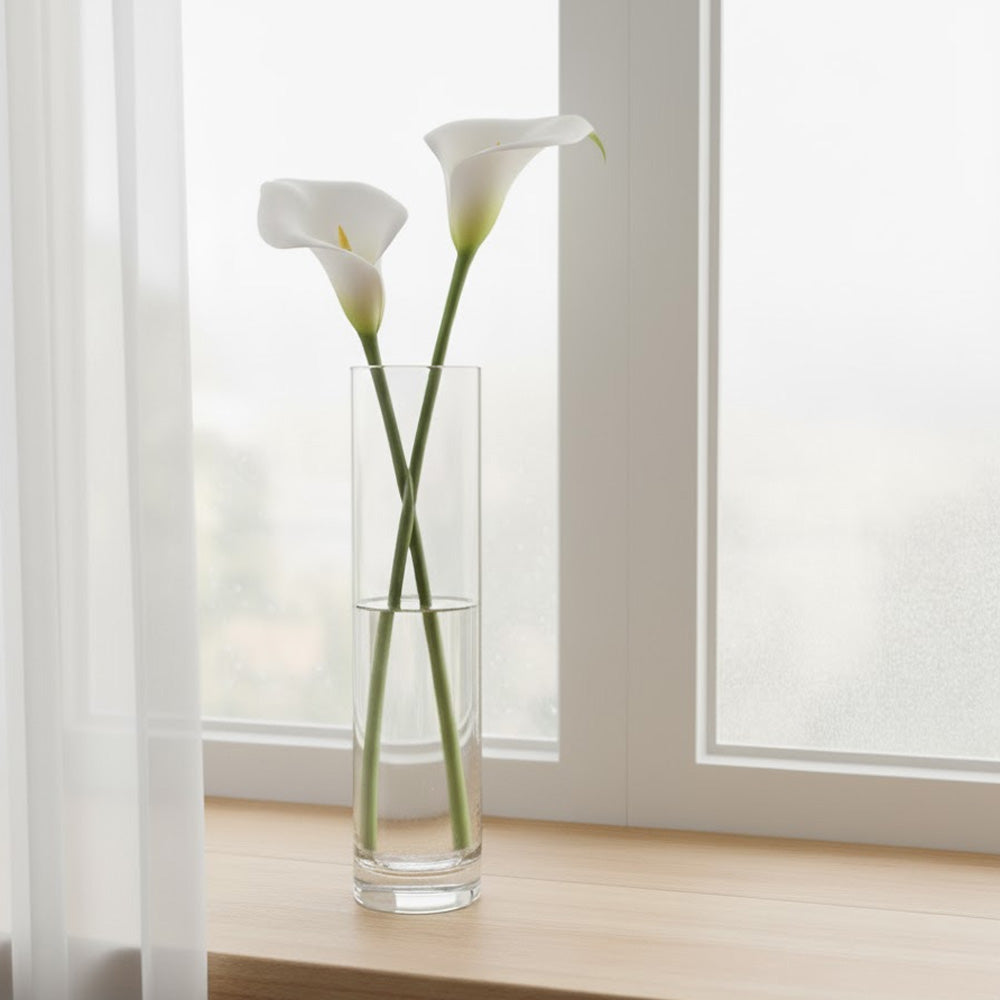 مزهرية زجاجية للنباتات