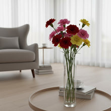 مزهرية زجاجية للنباتات