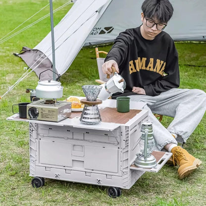 عربة وصندوق تخزين محمولة