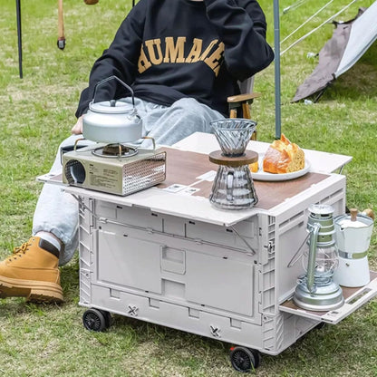 عربة وصندوق تخزين محمولة