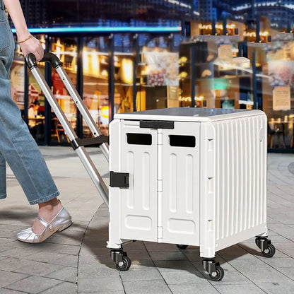 عربة تخزين فائقة التحمل مع عجلات قابلة للطي 30 لتر H-L3881 Boxpro